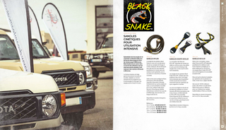 black-snake