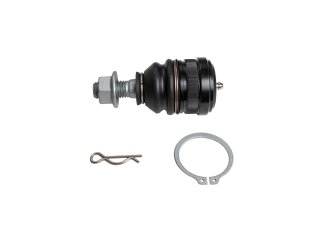 Kit de rotule de triangle supérieur avant OME pour Ford Ranger T6 / T7 / T8 2012-2023
