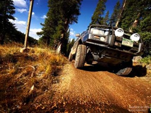 WINCH BAR TACOMA 05ON W/SAHARA INSERTS