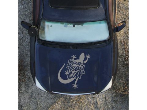 Grand autocollant gris métallisé de capot DreamTeamCar