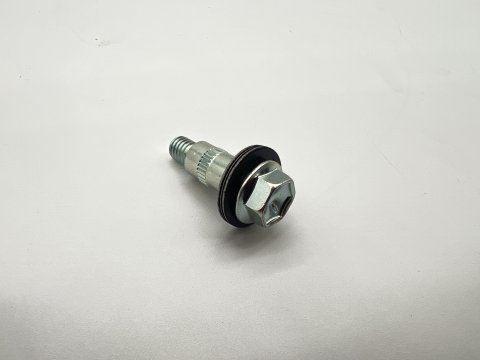 Vis avec rondelle de cache culbuteur HDJ100 et HDJ80 24s