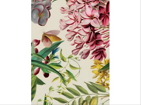 Collecteur ONWRD Daily Driver Floral