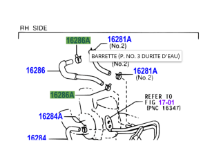 Collier durite de refroidissement
