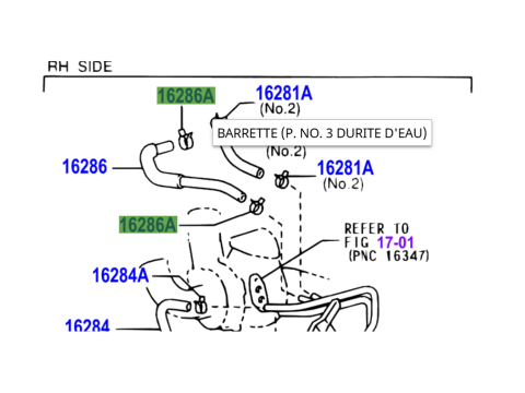 Collier durite de refroidissement