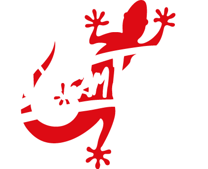 Dream Team Car